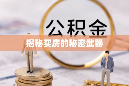 洪梅揭秘买房的秘密武器