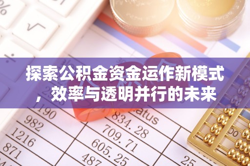洪梅探索公积金资金运作新模式，效率与透明并行的未来