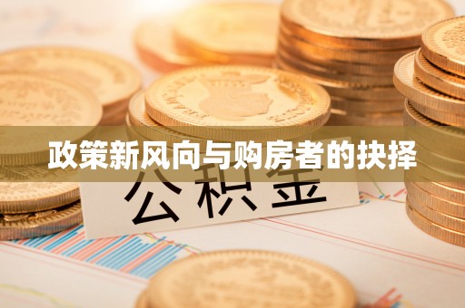 洪梅政策新风向与购房者的抉择
