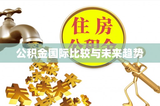 洪梅公积金国际比较与未来趋势