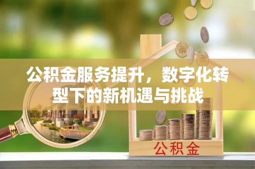 洪梅公积金服务提升，数字化转型下的新机遇与挑战