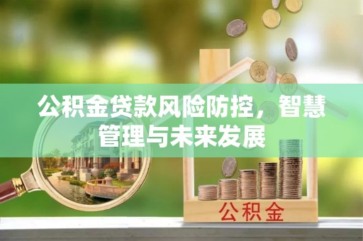 洪梅公积金贷款风险防控，智慧管理与未来发展
