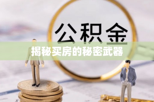 洪梅揭秘买房的秘密武器
