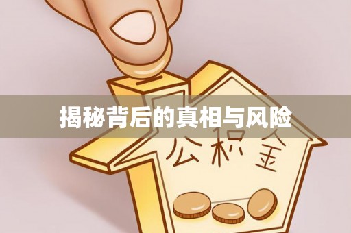 洪梅揭秘背后的真相与风险