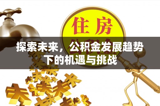 洪梅探索未来，公积金发展趋势下的机遇与挑战
