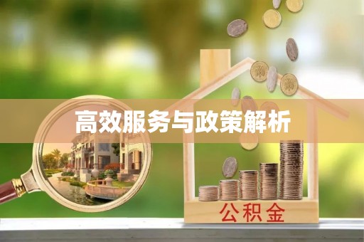 洪梅高效服务与政策解析