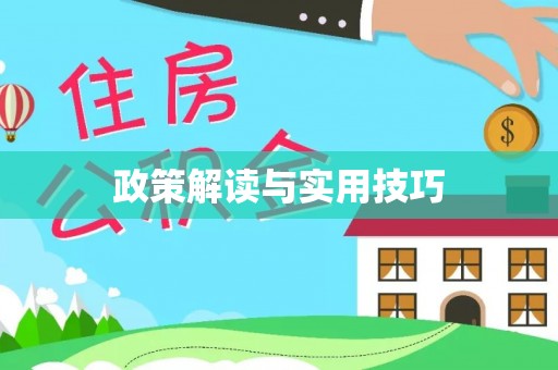 洪梅政策解读与实用技巧
