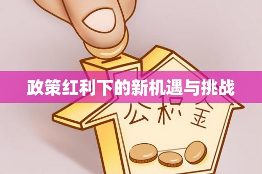 洪梅政策红利下的新机遇与挑战