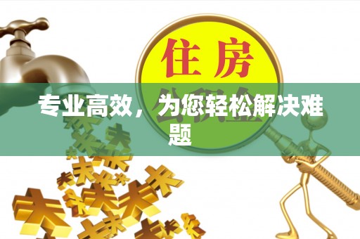 洪梅专业高效，为您轻松解决难题