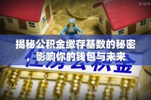 洪梅揭秘公积金缴存基数的秘密，影响你的钱包与未来