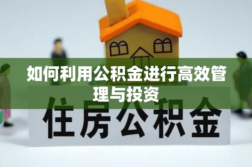 洪梅如何利用公积金进行高效管理与投资