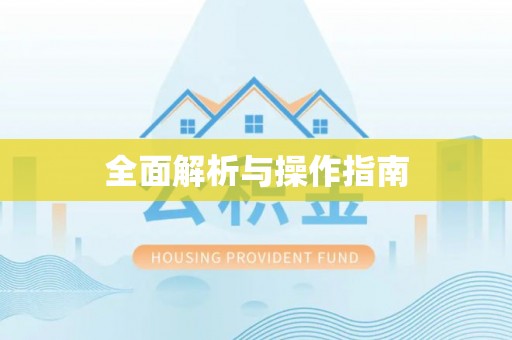 洪梅全面解析与操作指南