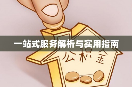 洪梅一站式服务解析与实用指南