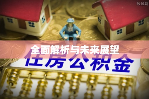洪梅全面解析与未来展望