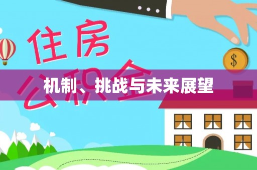 洪梅机制、挑战与未来展望