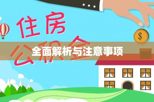 洪梅全面解析与注意事项
