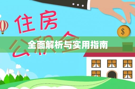 洪梅全面解析与实用指南