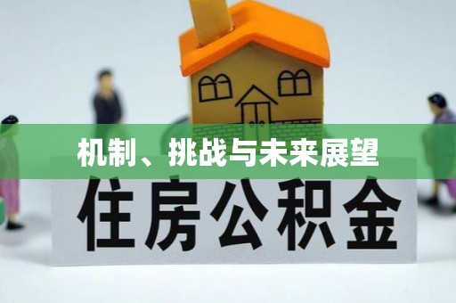 洪梅机制、挑战与未来展望
