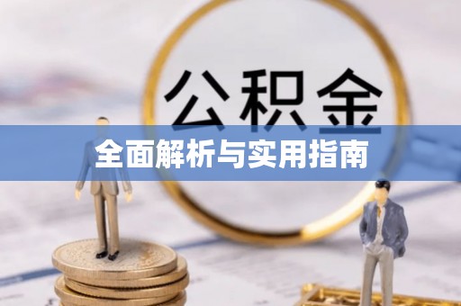 洪梅全面解析与实用指南