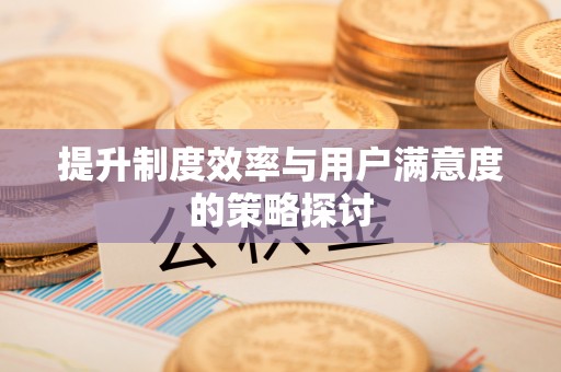 洪梅提升制度效率与用户满意度的策略探讨