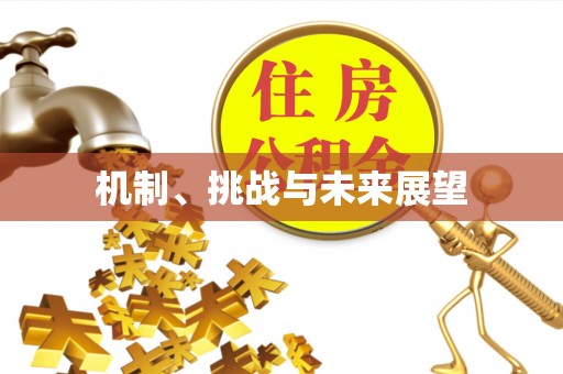洪梅机制、挑战与未来展望